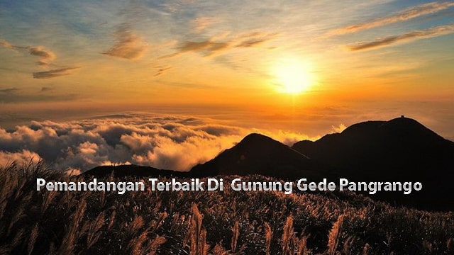 Pemandangan Terbaik Di  Gunung Gede Pangrango